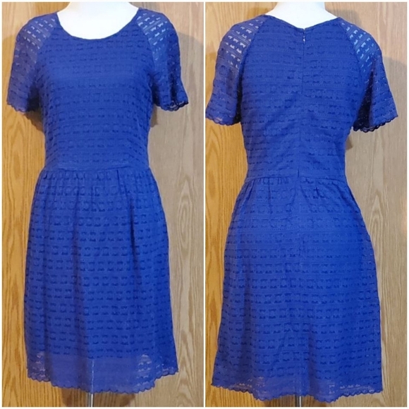 Free People lace mini dress cobalt blue cotton blend size 8 - Picture 2 of 10